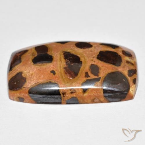 Jaspe Multicolore naturelle Coussin, 19.75 ct, Opaque