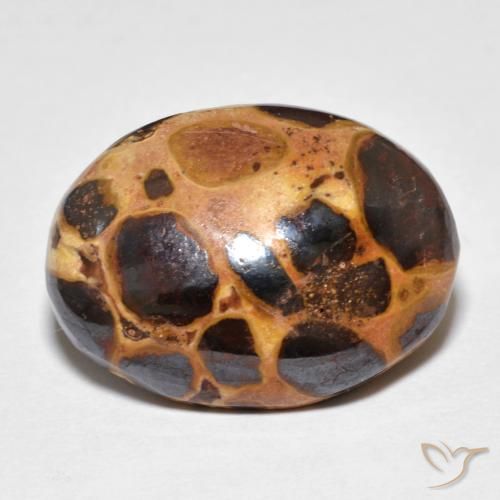 14.82ct Naturel Multicolore Jaspe, ovale, Opaque