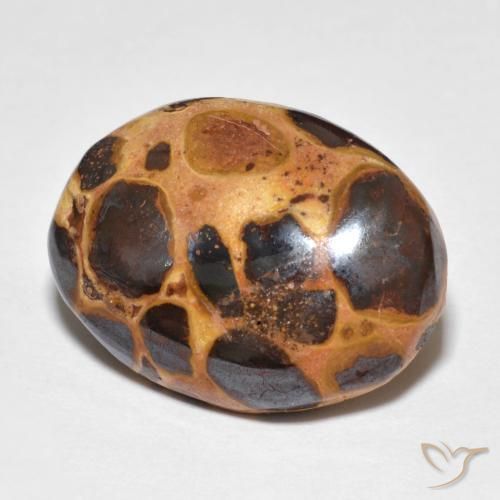 Jaspe Multicolore naturelle ovale, 14.82 ct, Opaque