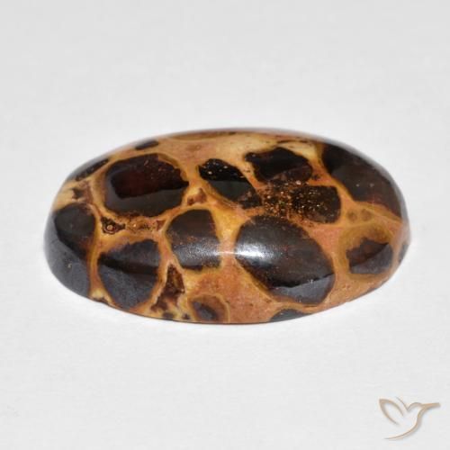 Jaspe Multicolore naturelle ovale, 14.82 ct, Opaque