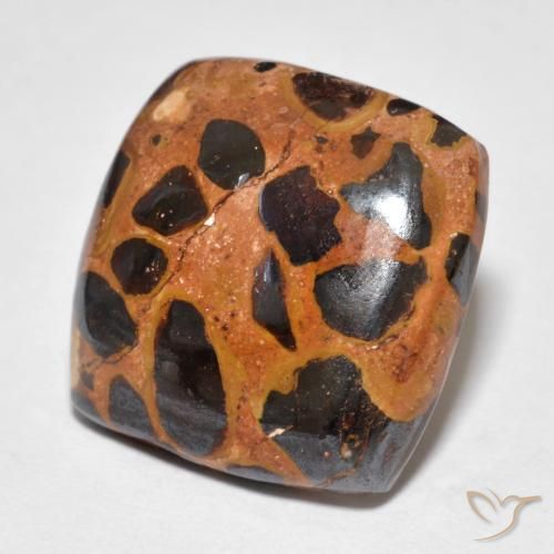 14.39ct Naturel Multicolore Jaspe, Coussin, Opaque
