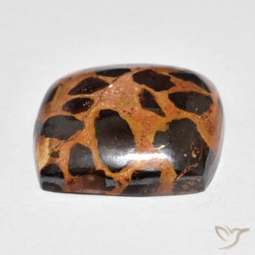Jaspe Multicolore naturelle Coussin, 14.39 ct, Opaque