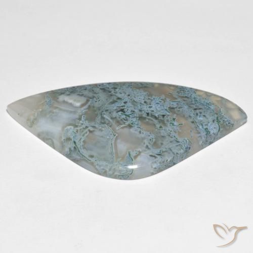 Jaspe Multicolore naturelle Fantaisie, 39.86 ct, Translucide