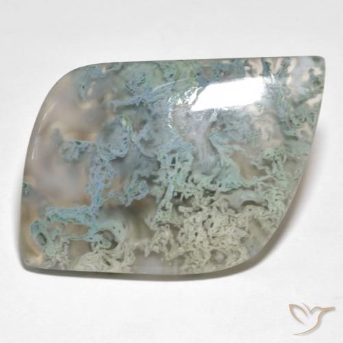 Jaspe Multicolore naturelle Fantaisie, 46.45 ct, Translucide