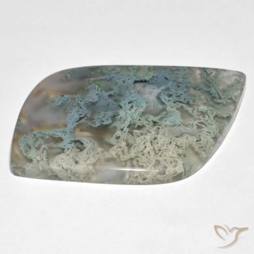 Jaspe Multicolore naturelle Fantaisie, 46.45 ct, Translucide