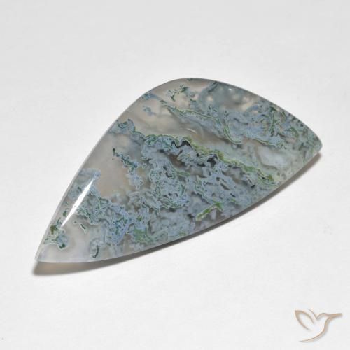 Jaspe Multicolore naturelle Fantaisie, 25.72 ct, Translucide