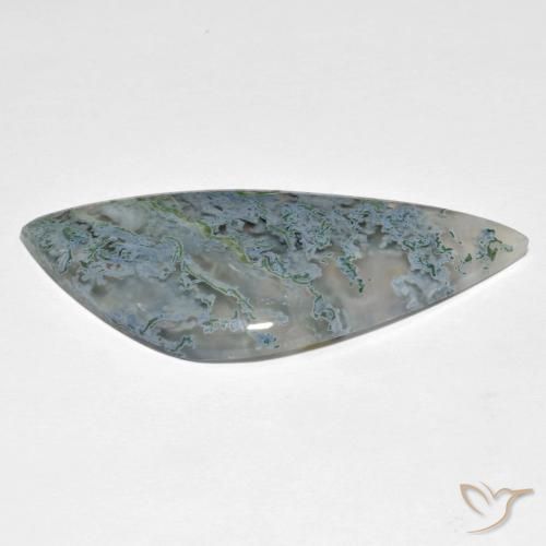 Jaspe Multicolore naturelle Fantaisie, 25.72 ct, Translucide