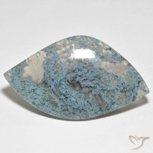 Jaspe Multicolore naturelle Fantaisie, 36.66 ct, Translucide