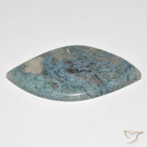 Jaspe Multicolore naturelle Fantaisie, 36.66 ct, Translucide
