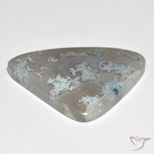Jaspe Multicolore naturelle Trillion, 33.55 ct, Translucide