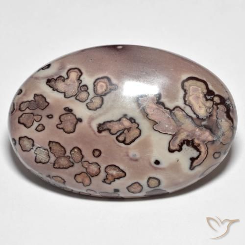 Jaspe Multicolore naturelle ovale, 44.30 ct, Opaque