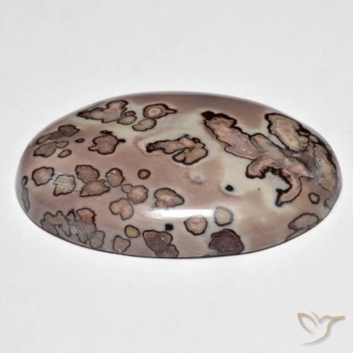 Jaspe Multicolore naturelle ovale, 44.30 ct, Opaque