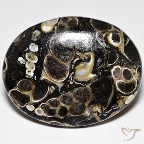 Jaspe Multicolore naturelle ovale, 44.38 ct, Opaque