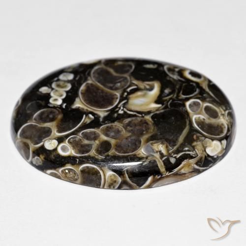 Jaspe Multicolore naturelle ovale, 44.38 ct, Opaque
