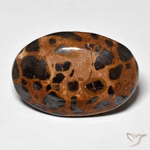 21.84ct Naturel Multicolore Jaspe, ovale, Opaque