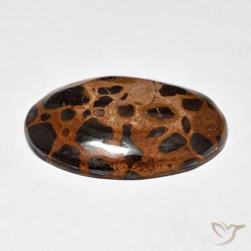 Jaspe Multicolore naturelle ovale, 21.84 ct, Opaque