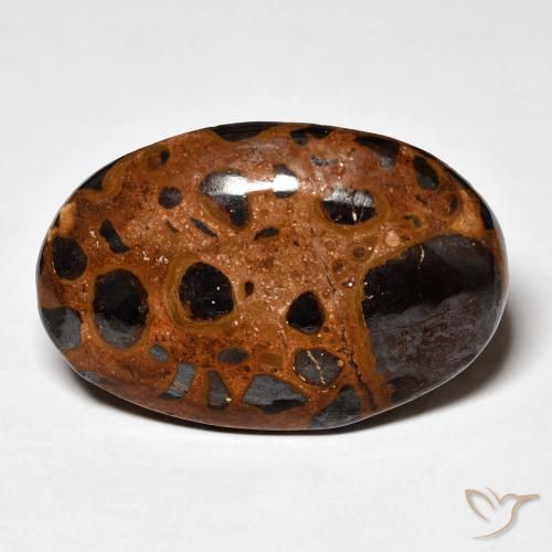 21.98ct Naturel Multicolore Jaspe, ovale, Opaque