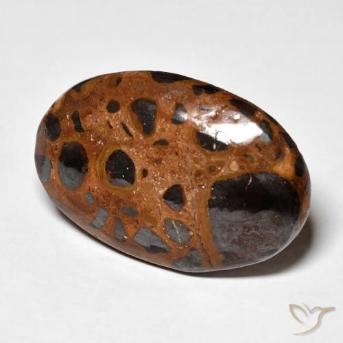Jaspe Multicolore naturelle ovale, 21.98 ct, Opaque