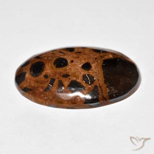 Jaspe Multicolore naturelle ovale, 21.98 ct, Opaque