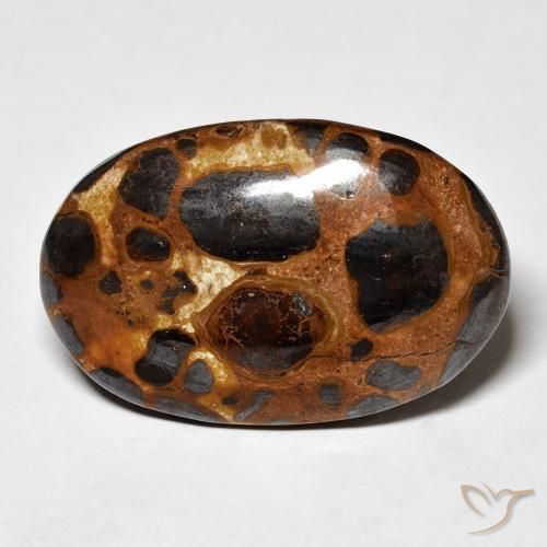 19.43ct Naturel Multicolore Jaspe, ovale, Opaque