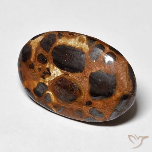 Jaspe Multicolore naturelle ovale, 19.43 ct, Opaque