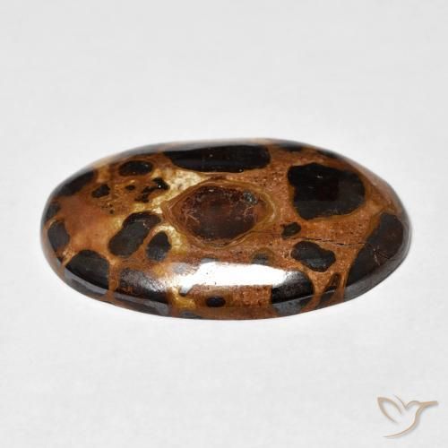 Jaspe Multicolore naturelle ovale, 19.43 ct, Opaque