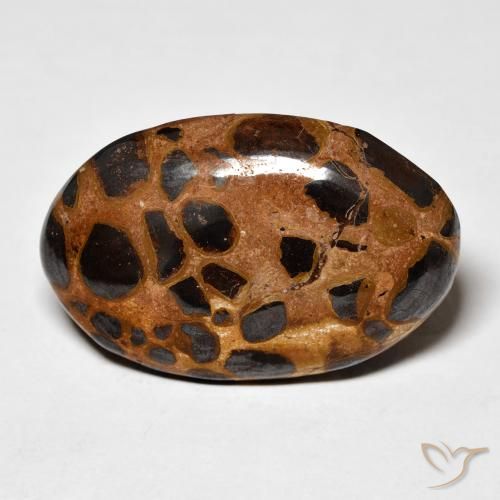 20.50ct Naturel Multicolore Jaspe, ovale, Opaque
