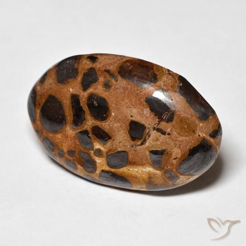 Jaspe Multicolore naturelle ovale, 20.50 ct, Opaque