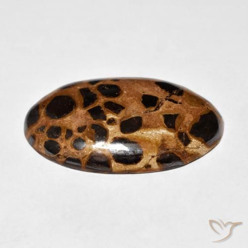 Jaspe Multicolore naturelle ovale, 20.50 ct, Opaque