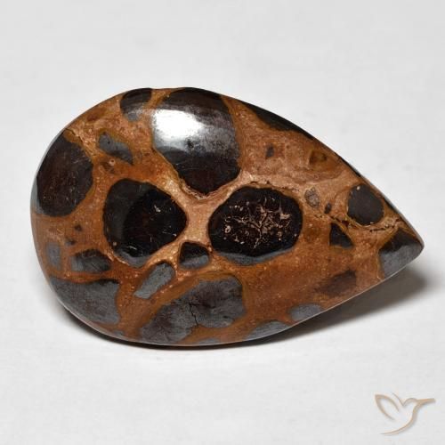 Jaspe Multicolore naturelle En forme de poire, 18.20 ct, Opaque