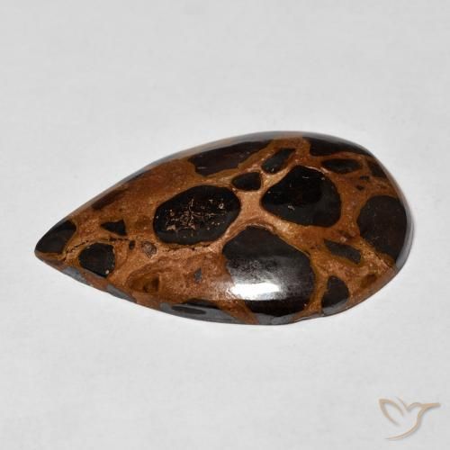 Jaspe Multicolore naturelle En forme de poire, 18.20 ct, Opaque