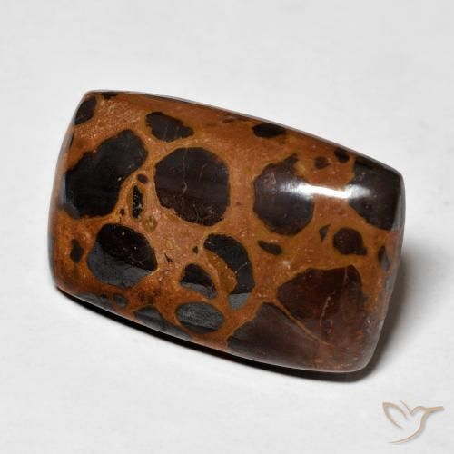 Jaspe Multicolore naturelle Coussin, 22.00 ct, Opaque