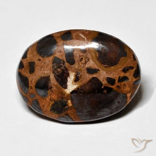 19.16ct Naturel Multicolore Jaspe, ovale, Opaque