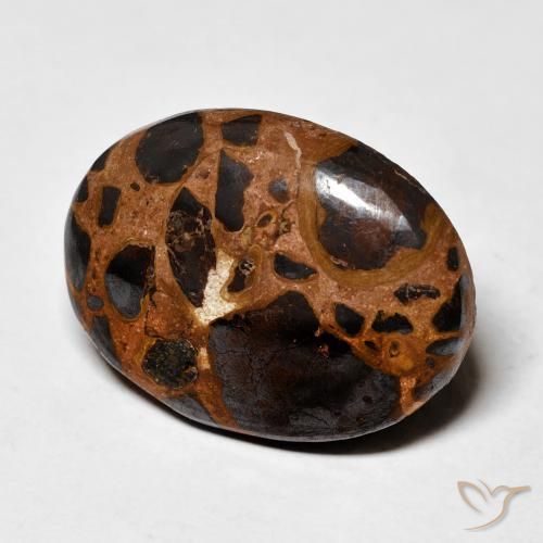 Jaspe Multicolore naturelle ovale, 19.16 ct, Opaque