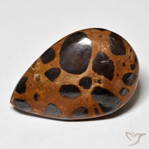 24.78ct Naturel Multicolore Jaspe, En forme de poire, Opaque