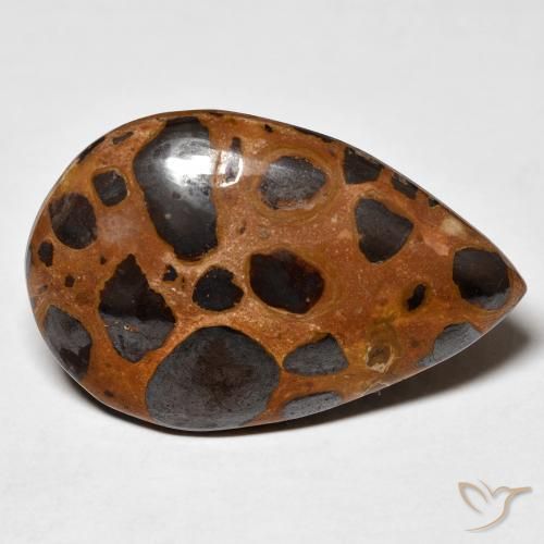 Jaspe Multicolore naturelle En forme de poire, 24.78 ct, Opaque
