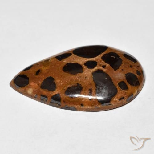Jaspe Multicolore naturelle En forme de poire, 24.78 ct, Opaque