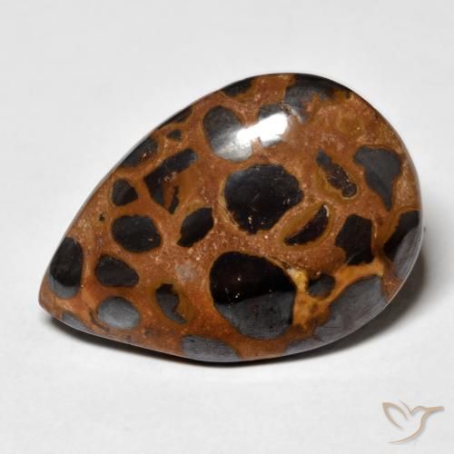 21.66ct Naturel Multicolore Jaspe, En forme de poire, Opaque