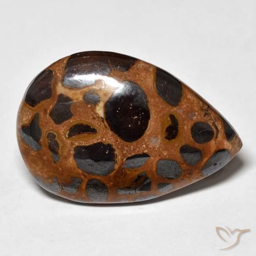 Jaspe Multicolore naturelle En forme de poire, 21.66 ct, Opaque