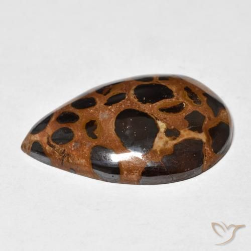 Jaspe Multicolore naturelle En forme de poire, 21.66 ct, Opaque