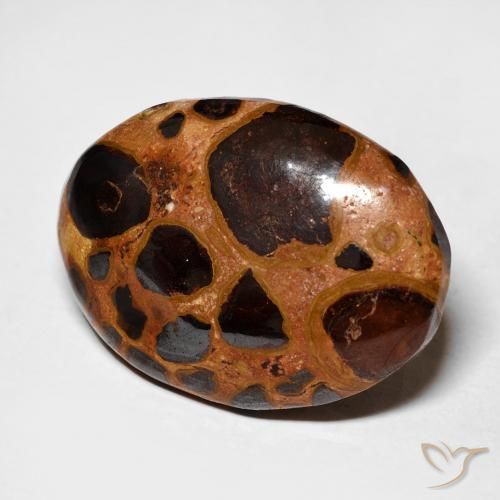 Jaspe Multicolore naturelle ovale, 17.45 ct, Opaque