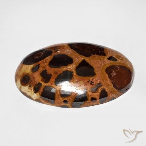 Jaspe Multicolore naturelle ovale, 17.45 ct, Opaque