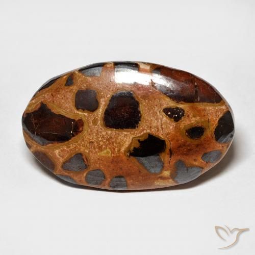 15.06ct Naturel Multicolore Jaspe, ovale, Opaque