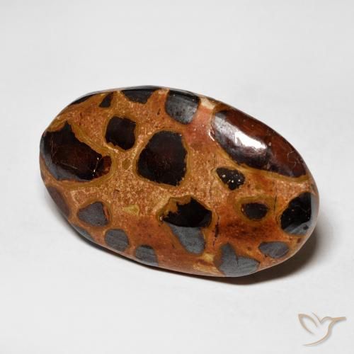 Jaspe Multicolore naturelle ovale, 15.06 ct, Opaque