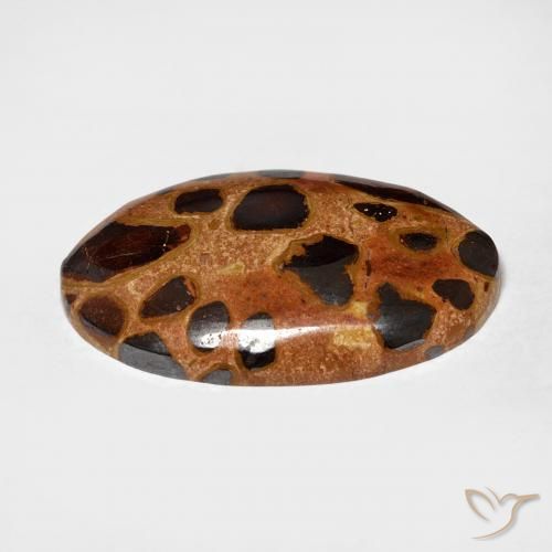 Jaspe Multicolore naturelle ovale, 15.06 ct, Opaque