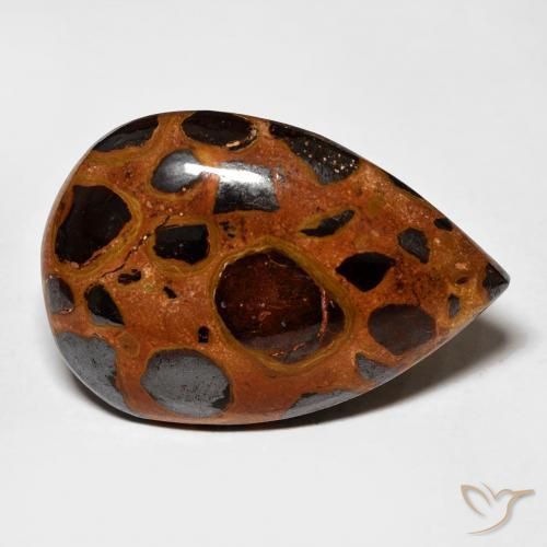 Jaspe Multicolore naturelle En forme de poire, 15.69 ct, Opaque
