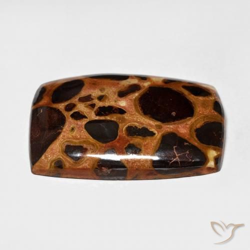 Jaspe Multicolore naturelle Coussin, 20.65 ct, Opaque