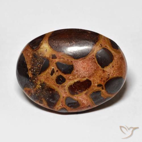 14.26ct Naturel Multicolore Jaspe, ovale, Opaque
