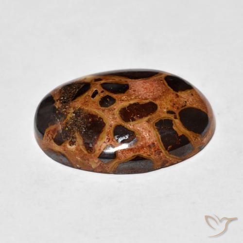 Jaspe Multicolore naturelle ovale, 14.26 ct, Opaque