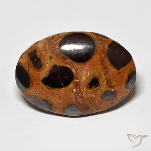16.68ct Naturel Multicolore Jaspe, ovale, Opaque